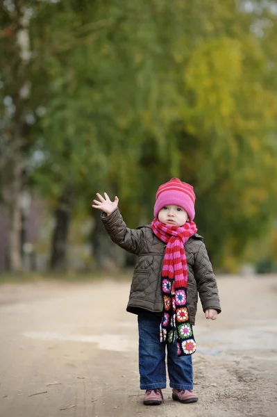 Little baby in an autumn park — Stock Photo, Image