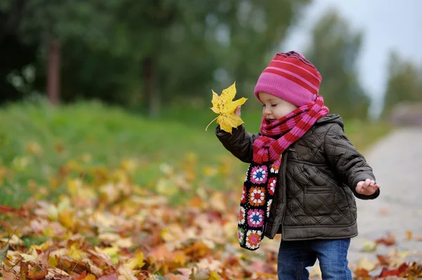 Маленька дитина в осінньому парку — стокове фото