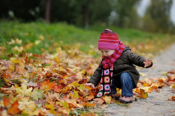 Μωράκι σε ένα φθινόπωρο Παρκ — Φωτογραφία Αρχείου