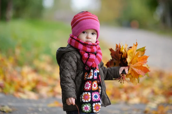 Pequeno bebê em um parque de outono — Fotografia de Stock