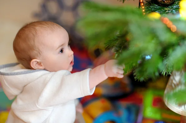 Petite fille tailler un arbre de Noël — Photo