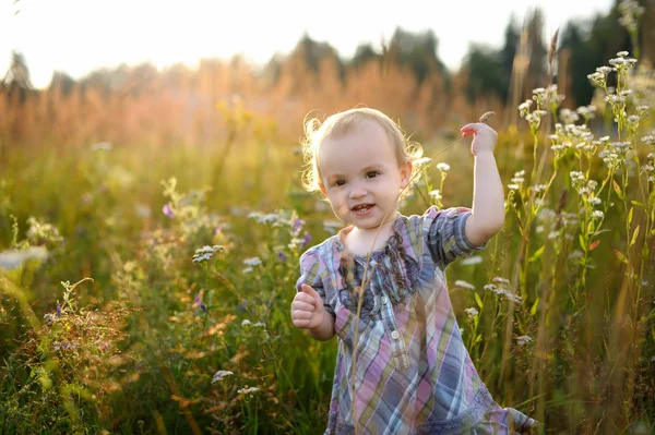 Pequeño bebé agradable caminando en un prado — Foto de Stock