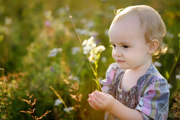 Pequeño bebé agradable caminando en un prado —  Fotos de Stock