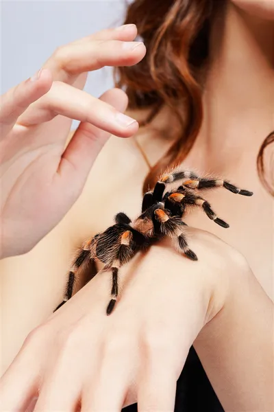 depositphotos_4286703-stock-photo-girl-w