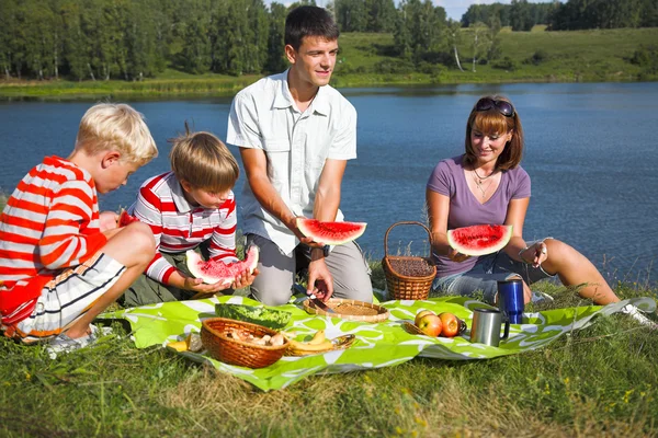 家庭野餐 免版税图库照片