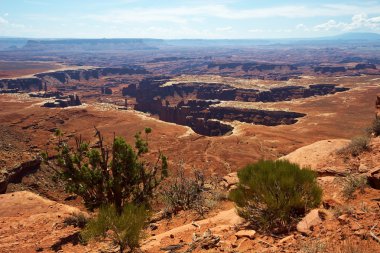 Canyonlands