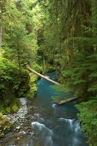 Ruisseau forestier Images De Stock Libres De Droits