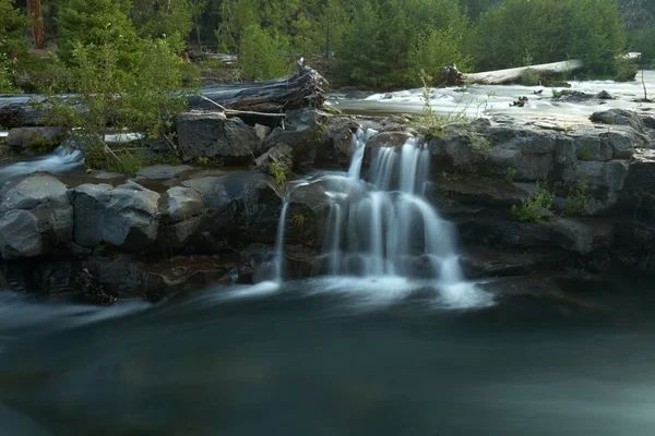 Ruisseau forestier Photo De Stock
