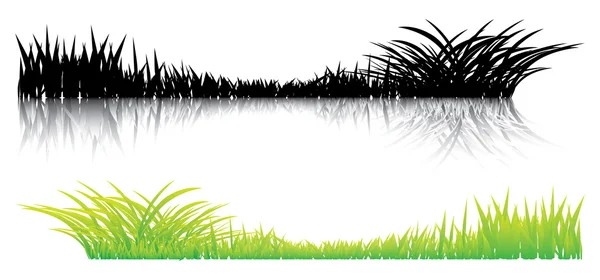 Realistik rumput pada putih - Stok Vektor