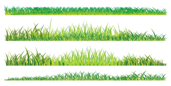 Реалістичний літніх трави — стоковий вектор