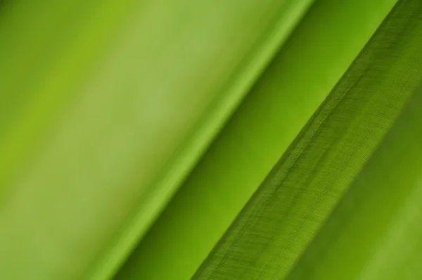 Grüner Hintergrund mit schönem Tuch — Stockfoto