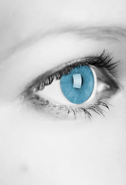 Olho humano azul — Fotografia de Stock
