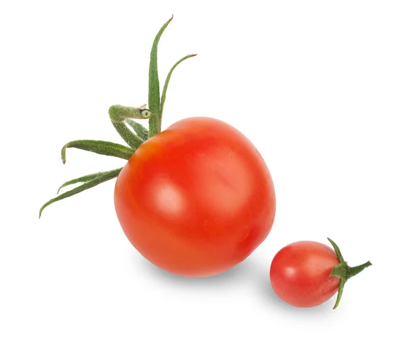 Selected tomatoes on a white — Stock Photo, Image