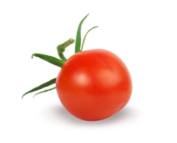 Ідеальний томатний ізольовані — стокове фото
