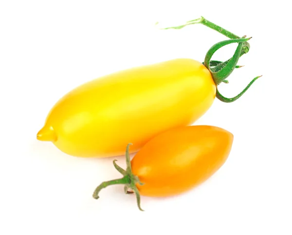 Ausgewählte gelbe Tomaten — Stockfoto
