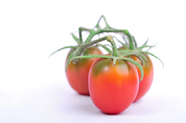 Special variety of tomatoes — Stock Photo, Image