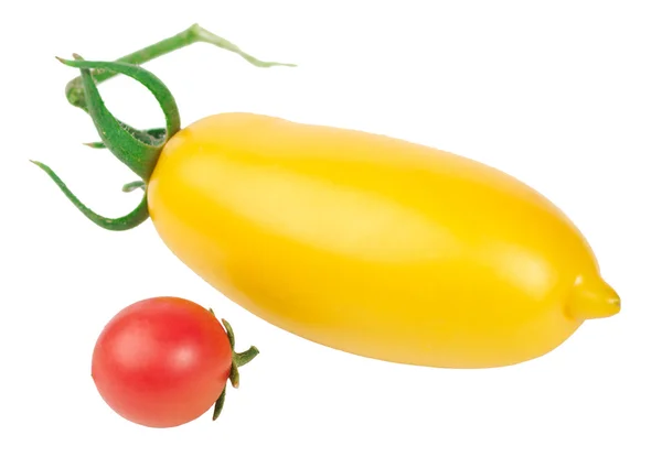 Farben der Tomaten — Stockfoto