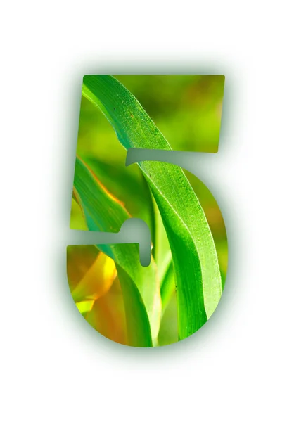 stock image Plant digits