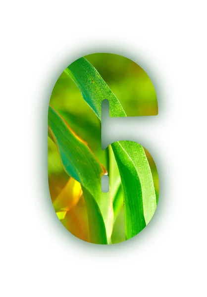 stock image Plant digits