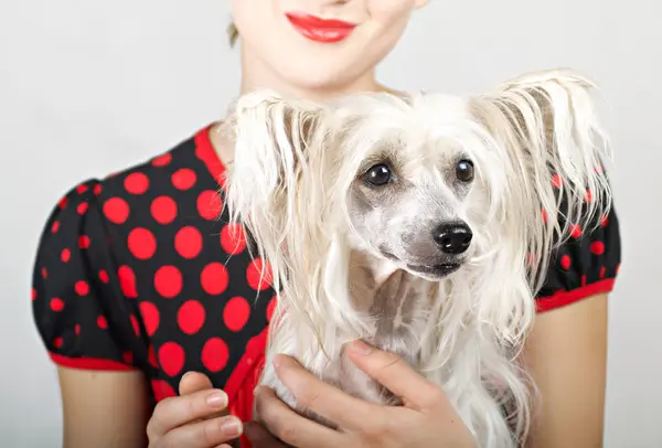 stock image Beautiful girl with a dog in her arms