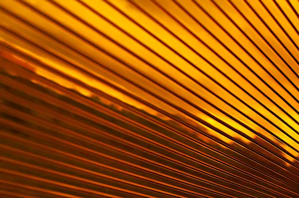 stock image Abstract background brown color