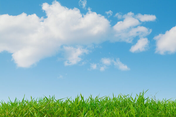 Blue sky with clouds and green grass in summer