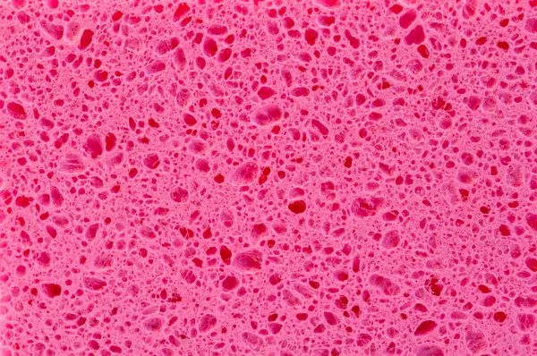 Рожевий піни Губка — стокове фото
