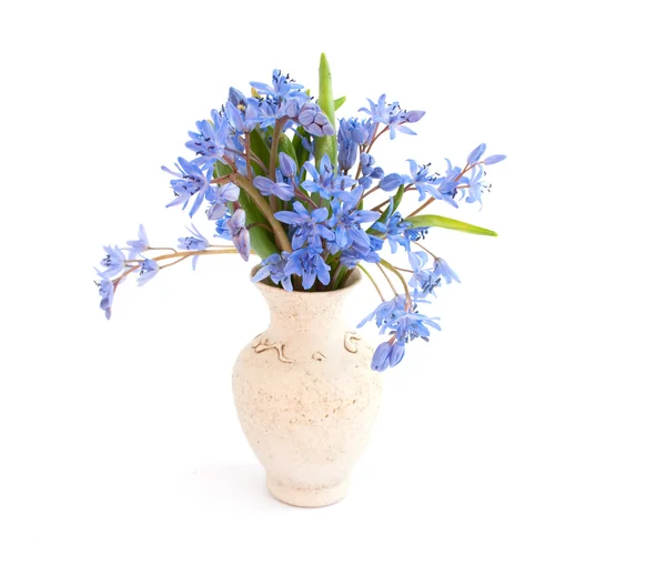 stock image Blue flowers in a vase