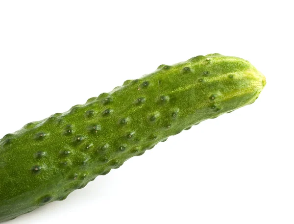 Concombre frais vert — Photo