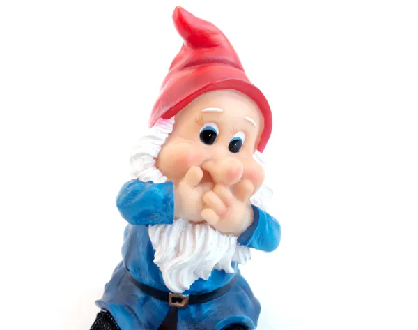 stock image Garden gnome