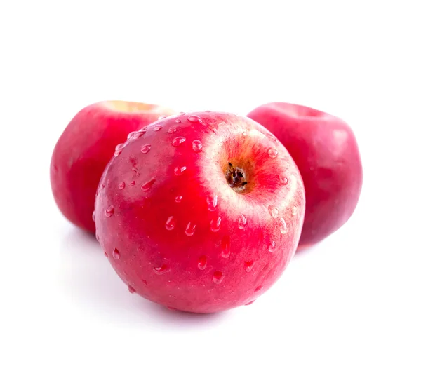 Manzana roja —  Fotos de Stock