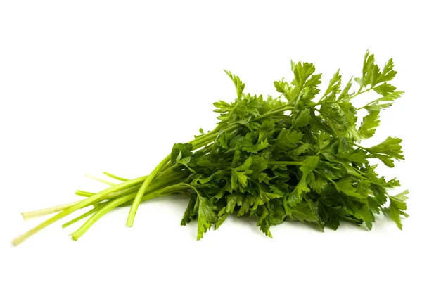 Parsley Royalty Free Stock Images