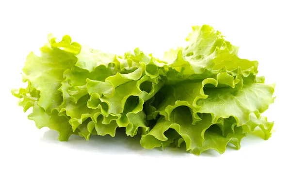 Salade bladeren — Stockfoto