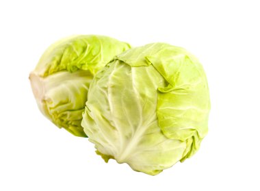 Cabbage clipart