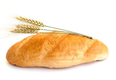 Ekmeklik Buğday koniler ile