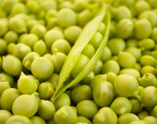Green peas pods — Stock Photo, Image