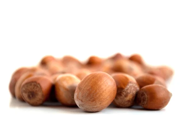 Dřevo ořech — Stock fotografie