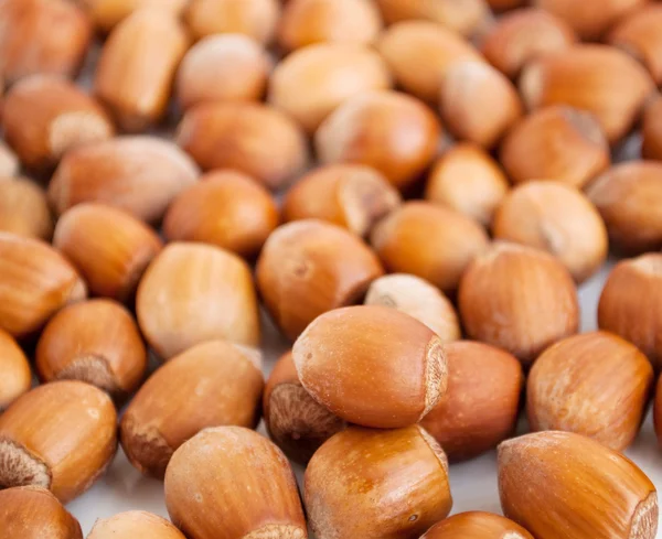 Dřevo ořech — Stock fotografie
