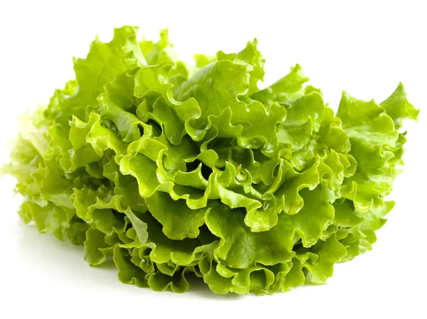 Listy salátu — Stock fotografie