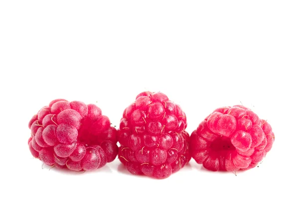 Frutas de damasco — Fotografia de Stock