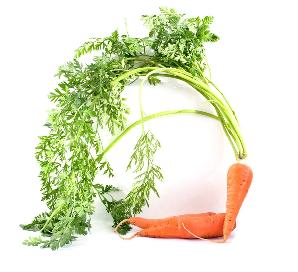Carrots with green leaves — Stock Photo, Image