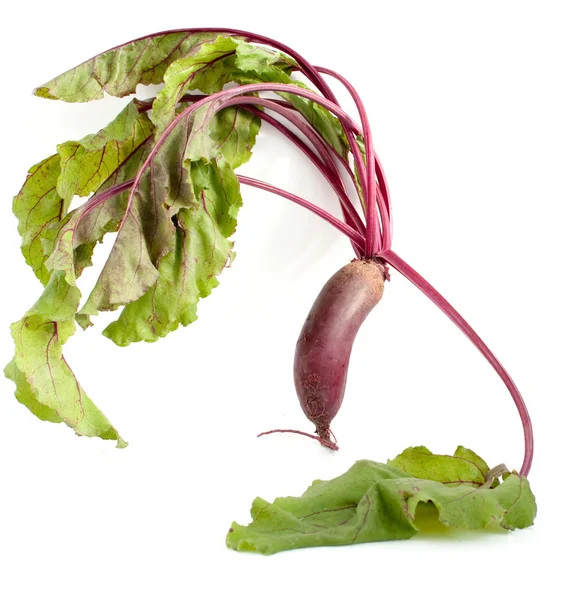 Beets with leaves — Stock Photo, Image