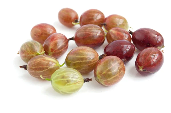 Bacche di uva spina — Foto Stock