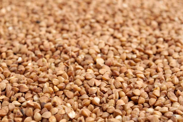 Buckwheats textuur — Stockfoto