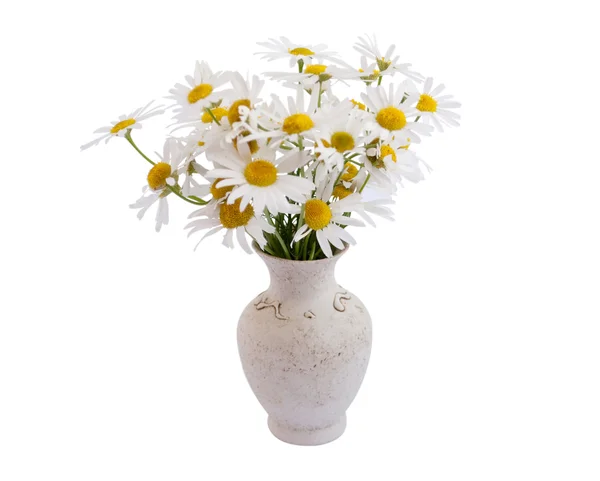 Vase of daisies — Stock Photo, Image