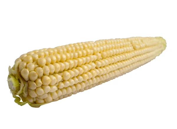 Corn — Stock Photo, Image