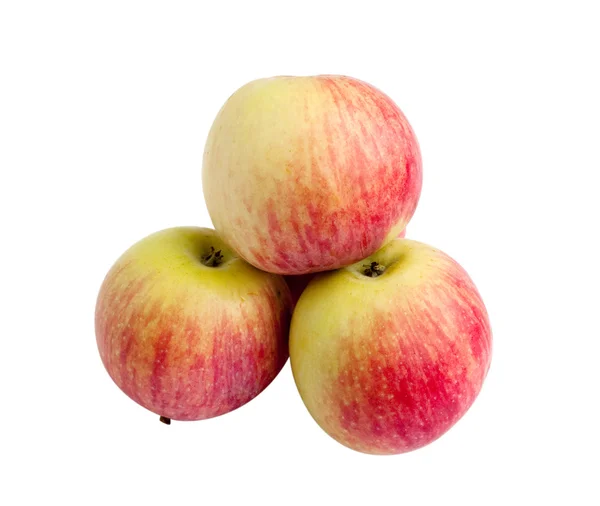 사과 — 스톡 사진