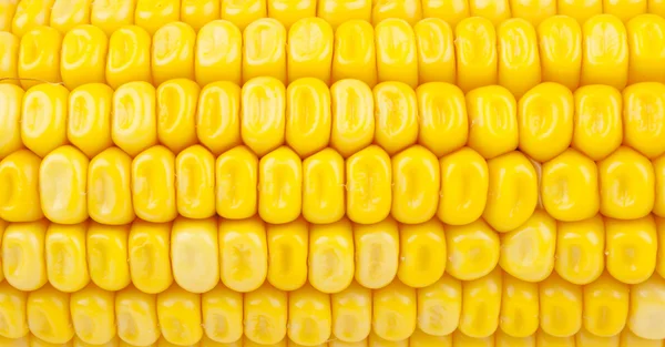 Dettaglio del mais — Foto Stock