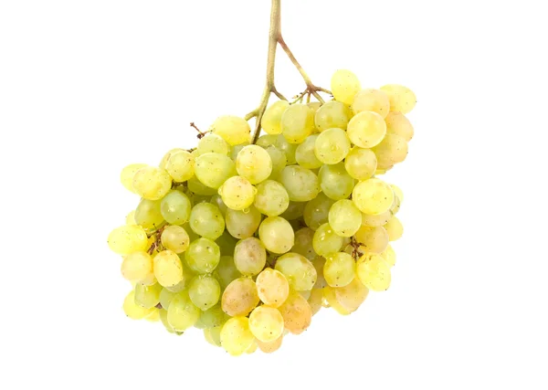 Кластер білого винограду — стокове фото