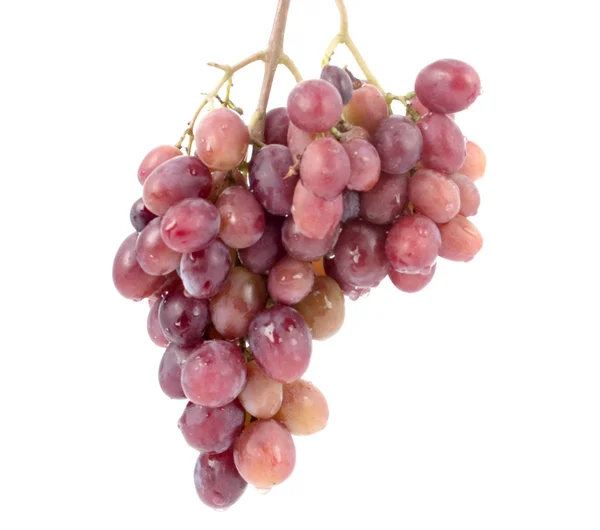 Pink cluster of grapes — Stock Photo, Image